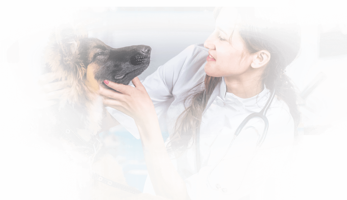 Torrey Highlands Pet Health Care Center